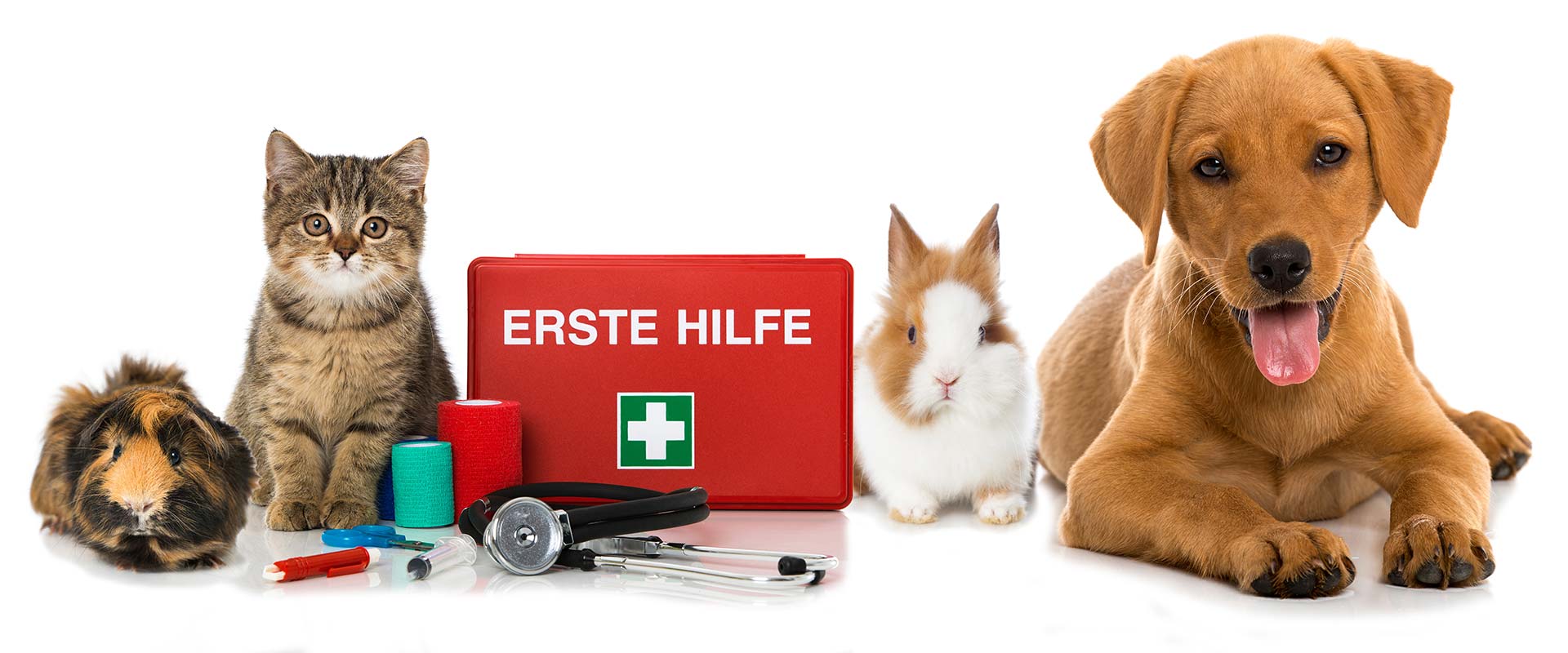 Notdienst
